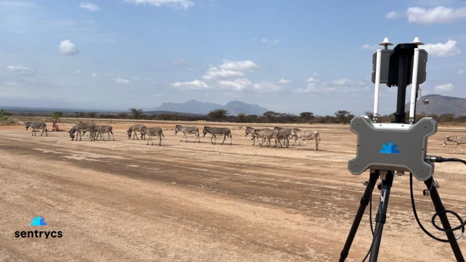 Sentrycs-expands-presence-with-counter-drone-roll-out-in-Africa