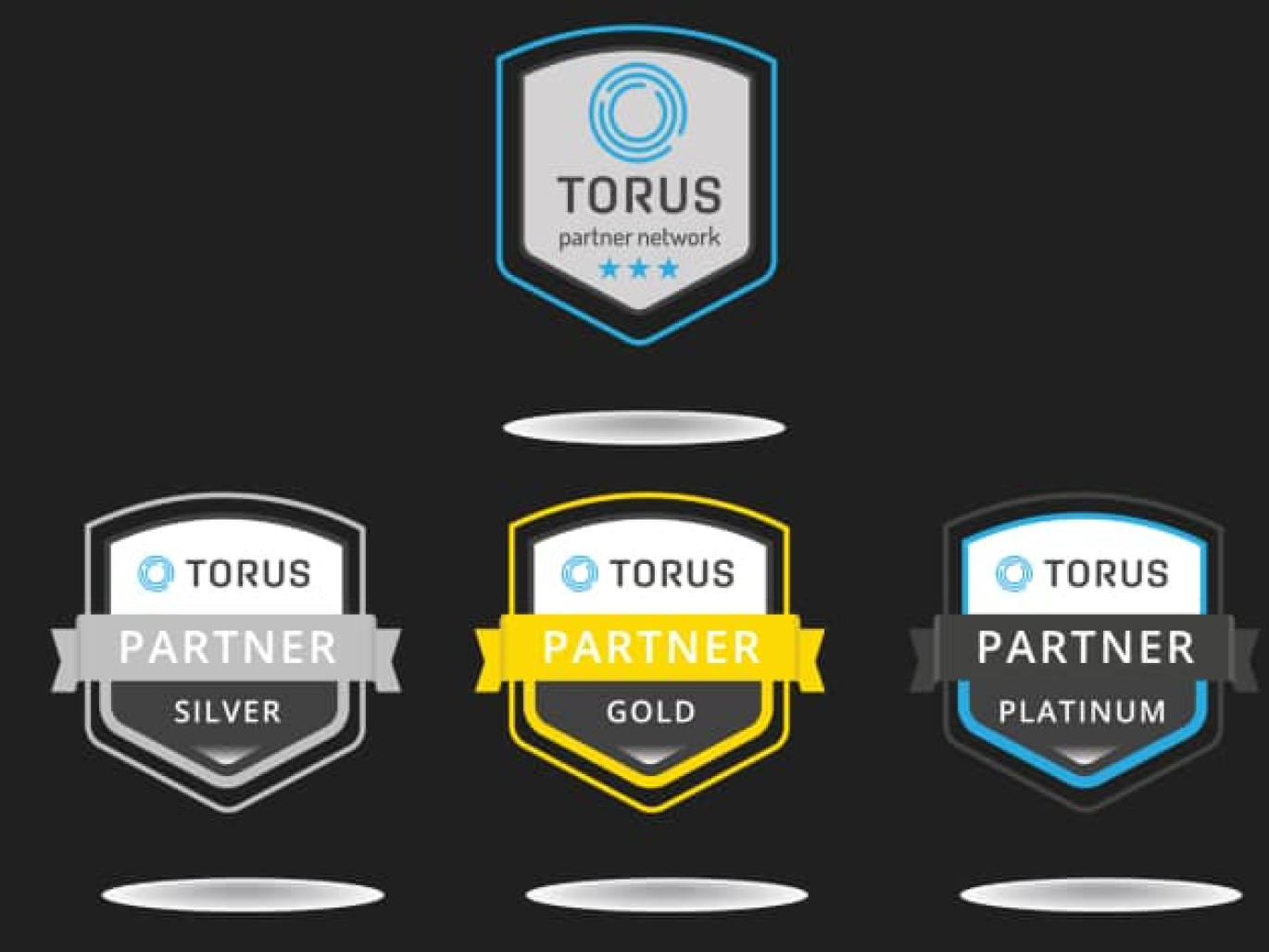 Torus-launches-International-Partner-Network-to-empower-businesses