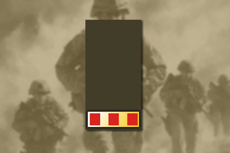 us marine corps ranks chief warrant officer 2